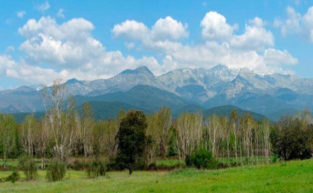 Apartamentos Fuente Arriba Poyales Del Hoyo Екстер'єр фото